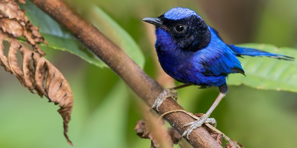 Chubby porno ajoyib sifatli