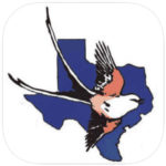 birding tours texas
